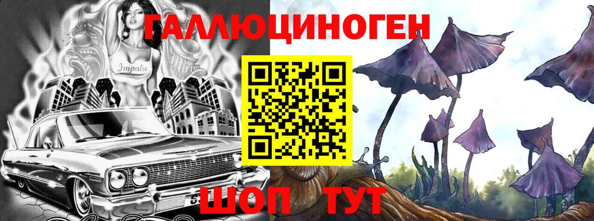 Псилоцибиновые грибы мицелий Дальнереченск