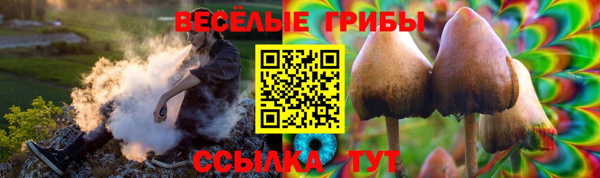 Дальнереченск  Псилоцибиновые грибы мухоморы  Галлюциногенные грибы Magic Shrooms  Вход с VPN 